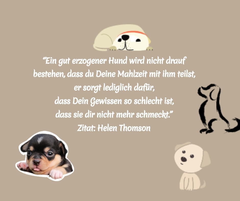 owalo design Hunde Bellen Spruch